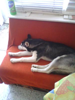 Прикачена снимка