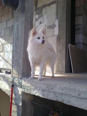 Прикачена снимка