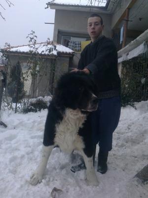 Прикачена снимка