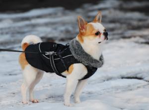 Прикачена снимка