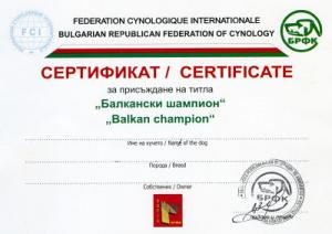 Прикачена снимка
