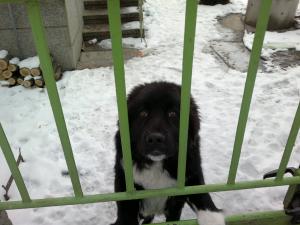 Прикачена снимка