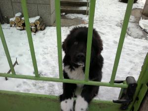 Прикачена снимка