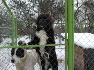 Прикачена снимка