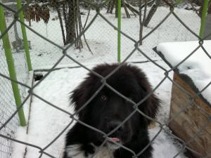 Прикачена снимка