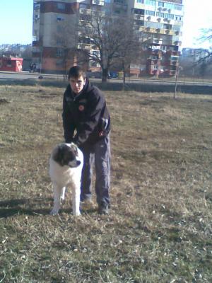 Прикачена снимка