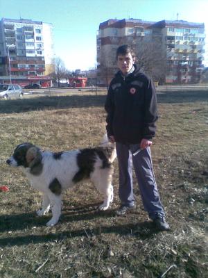 Прикачена снимка