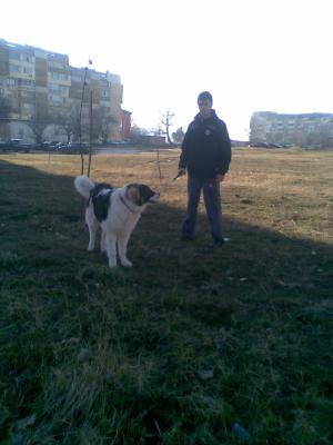 Прикачена снимка
