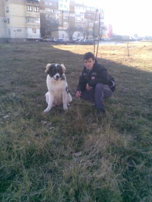 Прикачена снимка