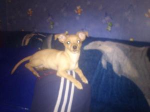 Прикачена снимка