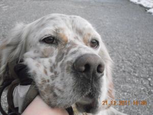 Прикачена снимка