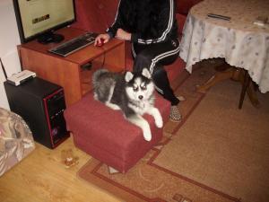 Прикачена снимка