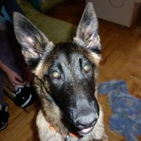 Прикачена снимка