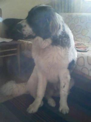Прикачена снимка