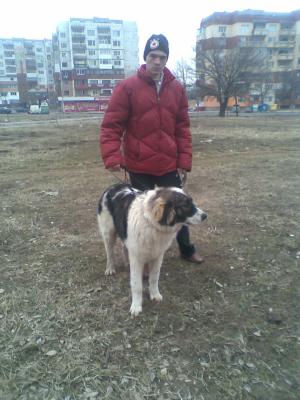 Прикачена снимка