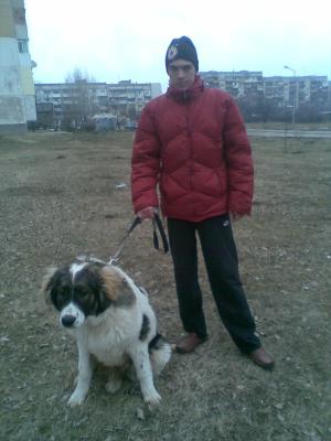 Прикачена снимка