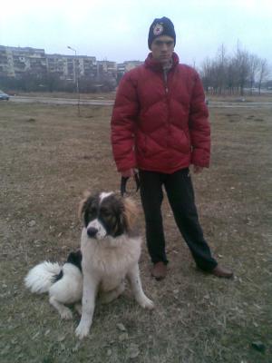 Прикачена снимка