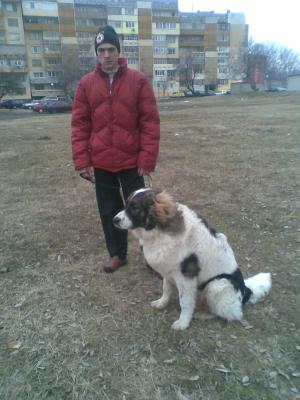 Прикачена снимка