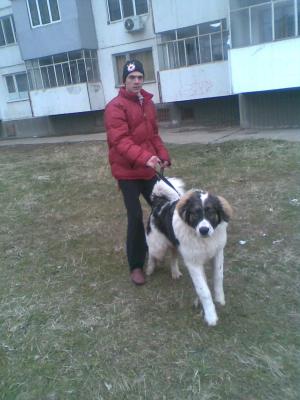 Прикачена снимка
