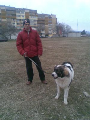 Прикачена снимка