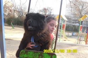 Прикачена снимка