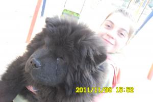 Прикачена снимка