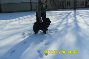 Прикачена снимка