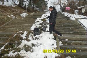 Прикачена снимка