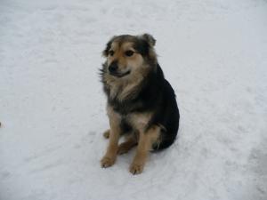 Прикачена снимка