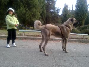 Прикачена снимка