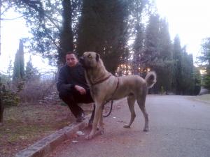 Прикачена снимка
