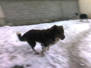 Прикачена снимка