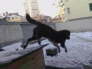 Прикачена снимка