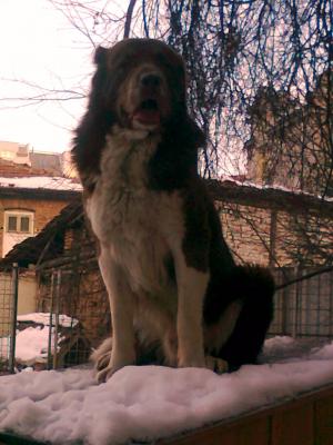 Прикачена снимка