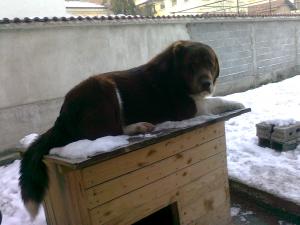 Прикачена снимка