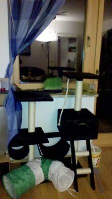 Прикачена снимка