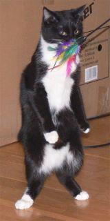 Прикачена снимка