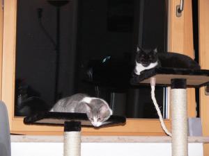 Прикачена снимка