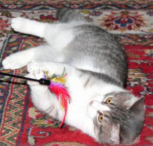 Прикачена снимка