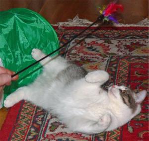 Прикачена снимка