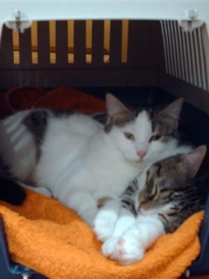 Прикачена снимка