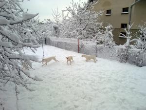 Прикачена снимка