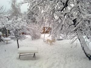 Прикачена снимка