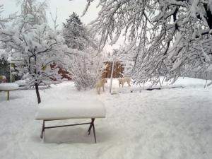 Прикачена снимка