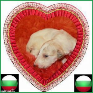 Прикачена снимка