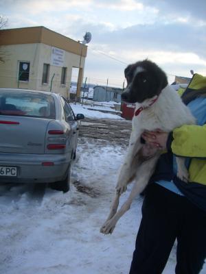 Прикачена снимка