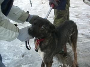 Прикачена снимка