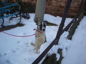 Прикачена снимка