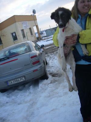 Прикачена снимка