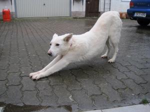 Прикачена снимка